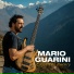 Mario Guarini, Zac Zinger