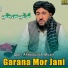 Qari Ahmadullah Mozin