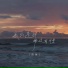 陈钢
