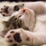 Chill Out, Massage Therapy Music, Childrens Music