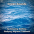 Ocean Currents, Nature Sounds, Ocean Sounds