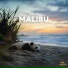Panda Lofi, Panda Chill, Panda Music