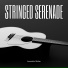 Acoustic Guitar
