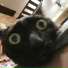 mak