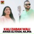 Awais Ali Khan