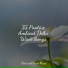 Relaxing Spa Music, Calming Sounds, Zen Meditate