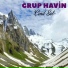 Grup Havin