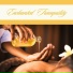 Pure Massage Music