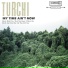 Turchi & Reed Turchi