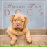 Relaxmydog, Dog Music Dreams, Dog Music Therapy