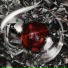 Glassi
