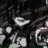 x1mun, trxnf brezze