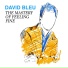 David Bleu