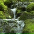 The Relaxing Sounds of Swedish Nature