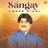 Ameer Niazi