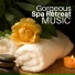 SPA & Wellness Masters Massage