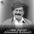 Ahmad Zebari