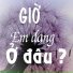 Lưu Gia Bảo