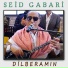 Seid Gabari