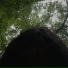 i reep