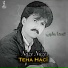 Teha Hacî