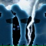 XLONGER