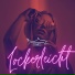 1DAY