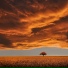 Sleepy Times, Chillout Lounge, Yoga Workout Music