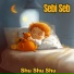 Sebi Seb