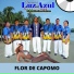 Organización Luz Azul