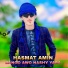Hasmat Amin