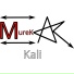 MurekARC