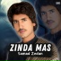 Samad Zedan