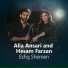 Alia Ansari, Hesam Farzan