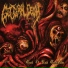 GUTTURAL DECAY