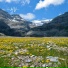 SoWild