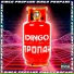 DINGO