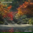 Background Tracks