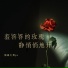 你家七哥ya