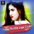 Robin Rangeela