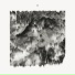 JMSN