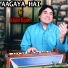 Khalil Haider