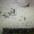 dvadvatttrrriii8