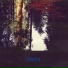 Dntel