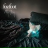 Foxfoot