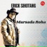 Erick Sihotang