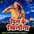 Antra Singh Priyanka, Sameer Raj