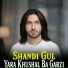 Shandi Gul