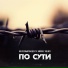 Железный Акцент, Andrey Volnyi