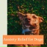 Soothing Music for Dogs